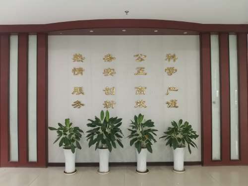 公司前臺(1)-e86eea05-67fa-4bb0-9dde-2e653abca3d7.jpg