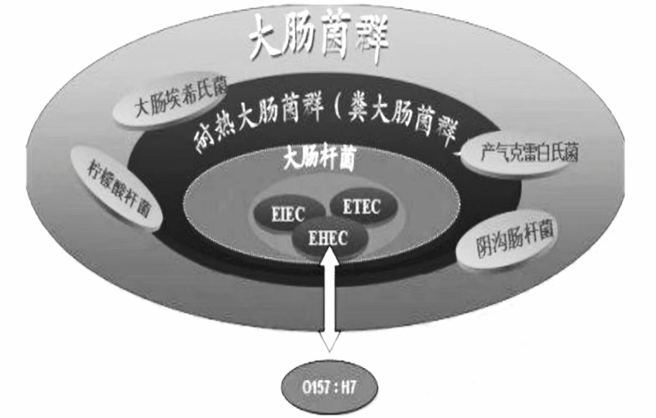 微信圖片_20230601160242-4206e863-c96b-4c5d-a65b-3f70a9988b70.jpg